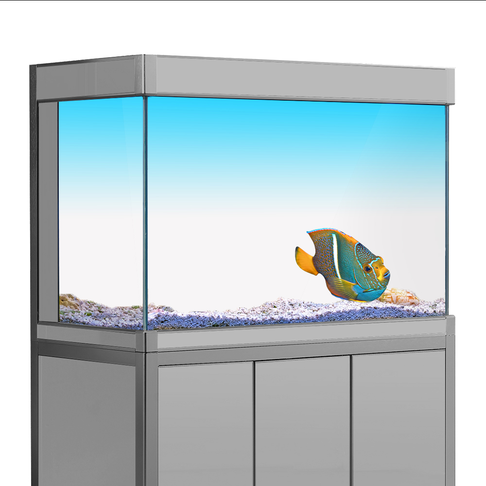 Aquarium Fish Yellow - Cá Nền Miếng Dán Trắng Vàng