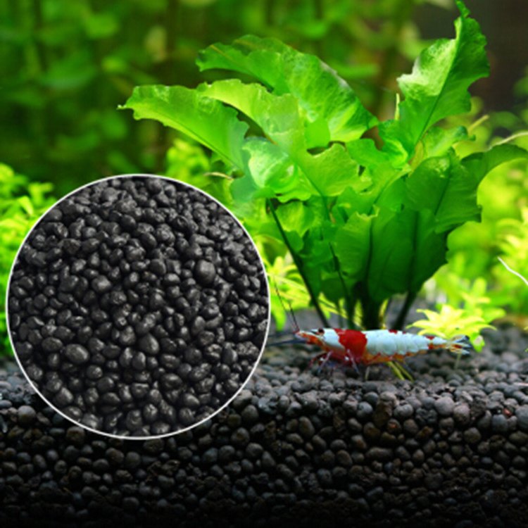 Aquarium Fish Accessories - Bể Cá Cảnh Vật Có Hạt