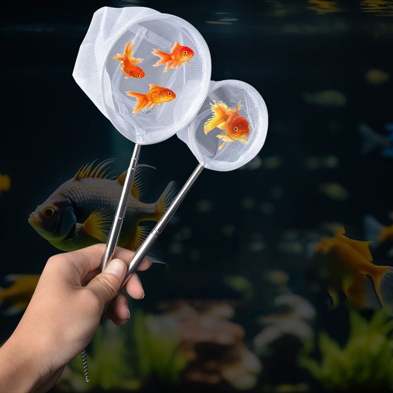 (BF06)Aquarium Fish Fishing Ne - đánh giá và giá Aquarium Fish Trap