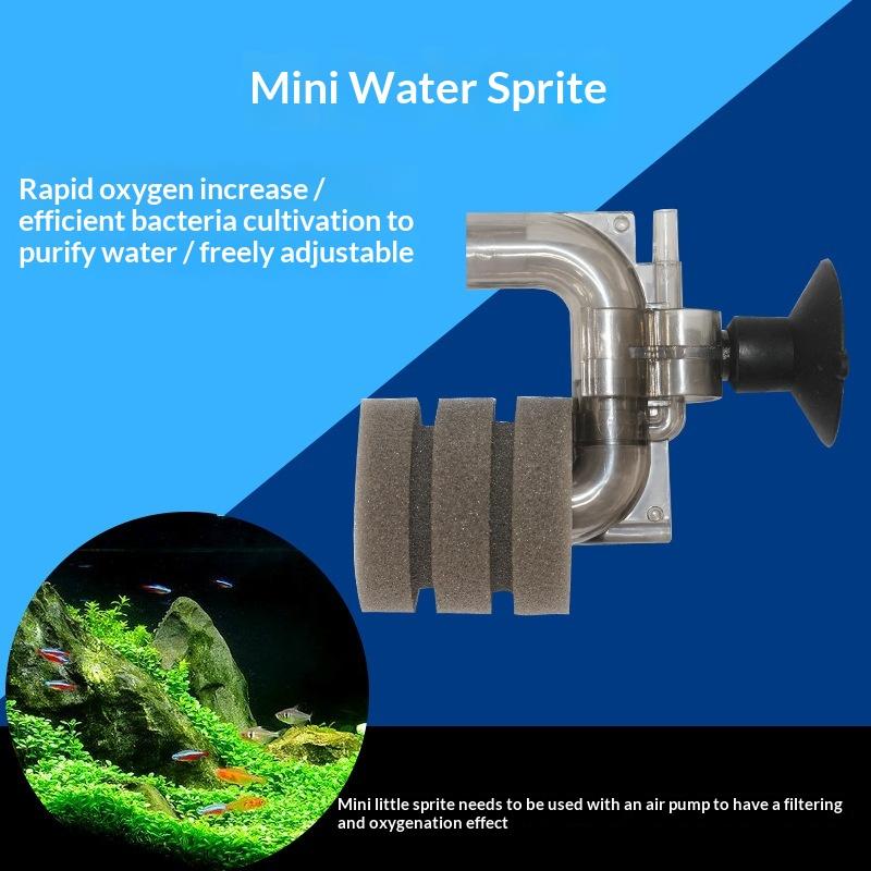 .Hot Sale-Mini Aquarium Sponge - đánh giá và giá Aquarium Fish For Sale