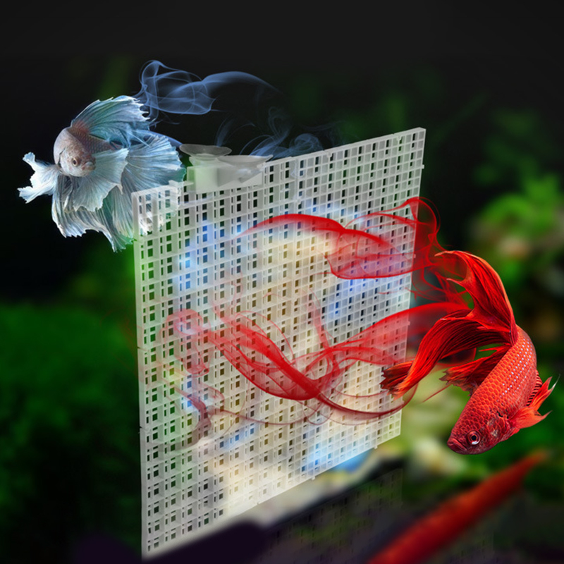 30x15cm 30x30cm Grid Divider P - đánh giá và giá Aquarium Fish Trap