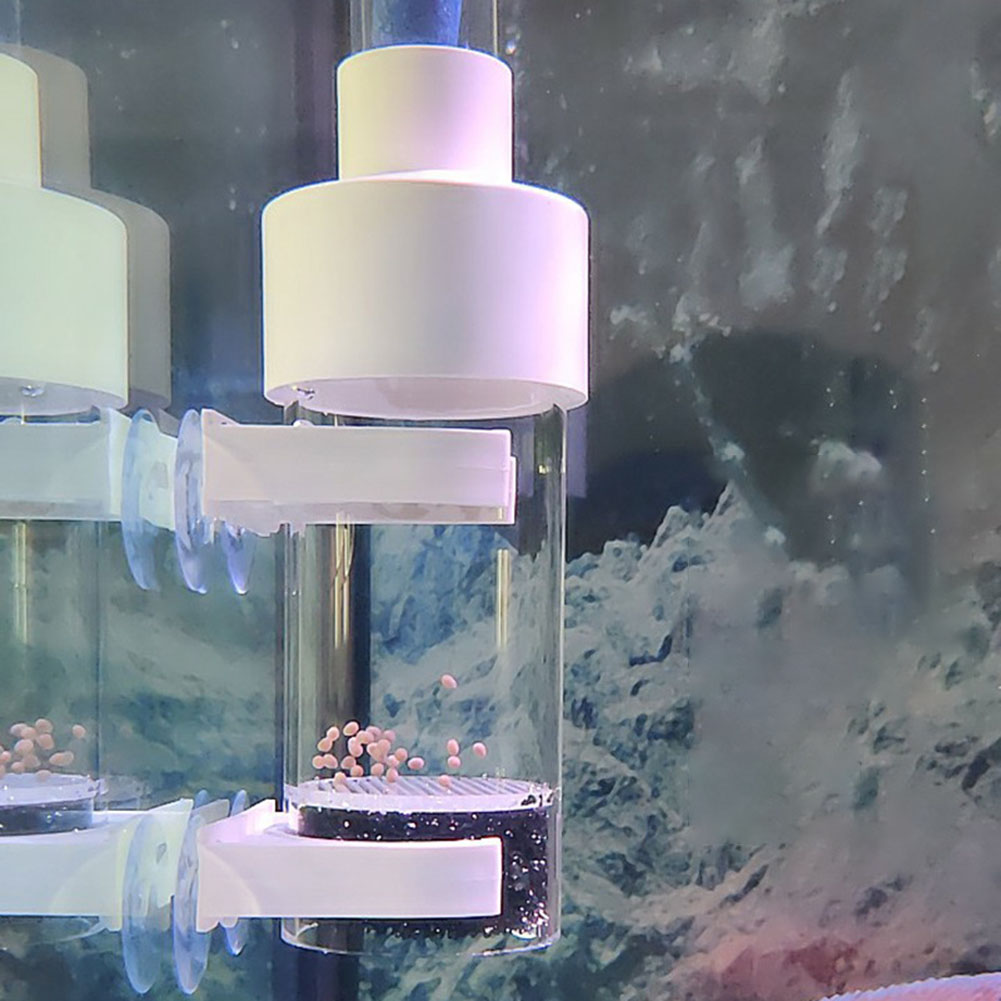 40mm Tumbler Incubator Fish Ha - đánh giá và giá Aquarium Fish Cichlid