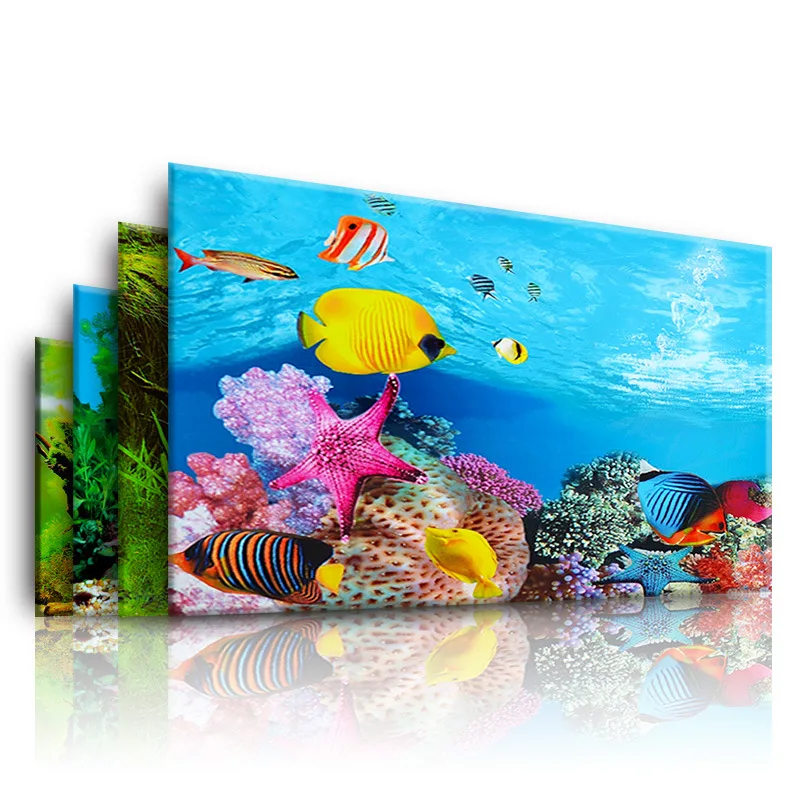 Nền Cho Bể Cá 3d Dán Poster Cá - đánh giá và giá Aquarium Fish Cichlid