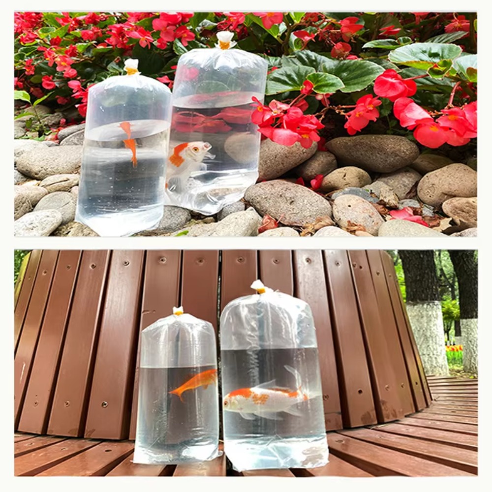 50PCS Aquarium Breathing Bags  - đánh giá và giá Aquarium Fish Delivery