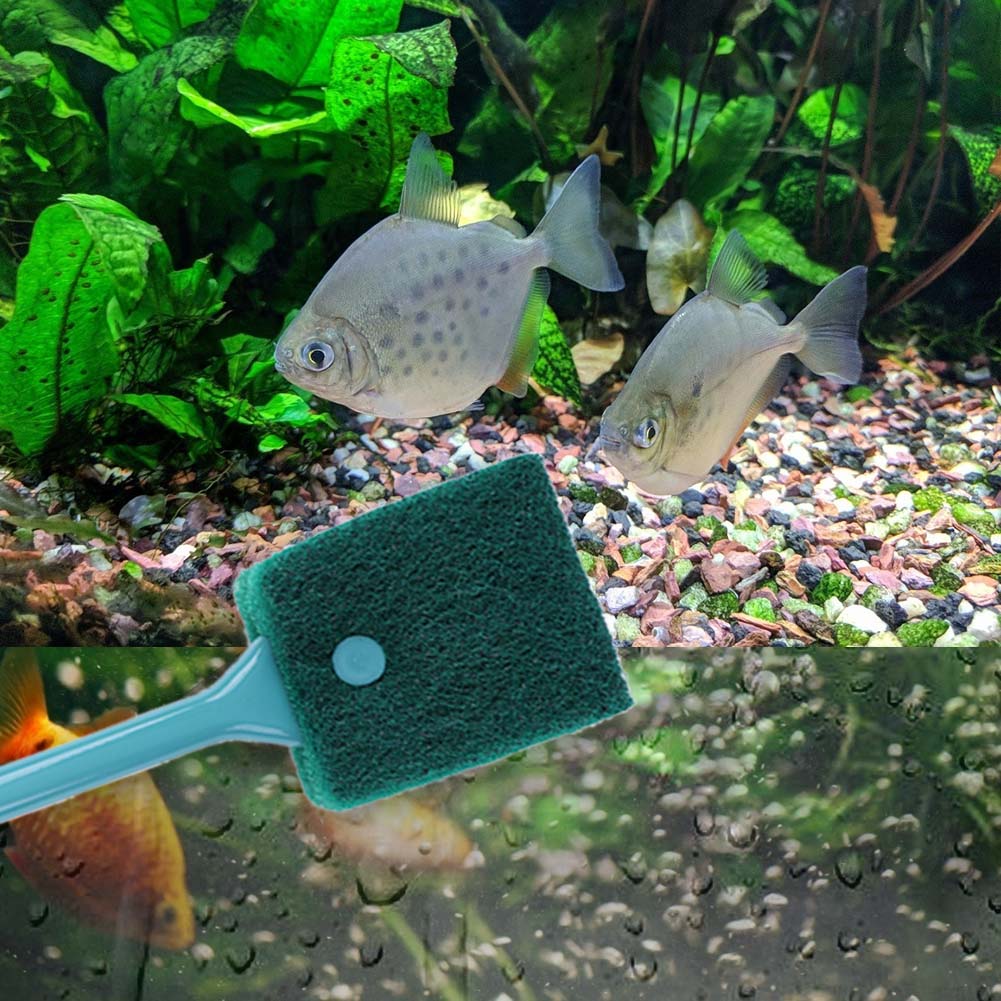 Double-sided Fish Tank Sponge  - đánh giá và giá Aquarium Fish Accessories