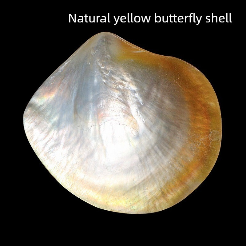 Natural Yellow Butterfly Beibe - đánh giá và giá Aquarium Fish Yellow