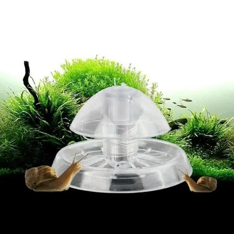 2026 New 6/8CM Clear Plastic S - đánh giá và giá Aquarium Fish Trap
