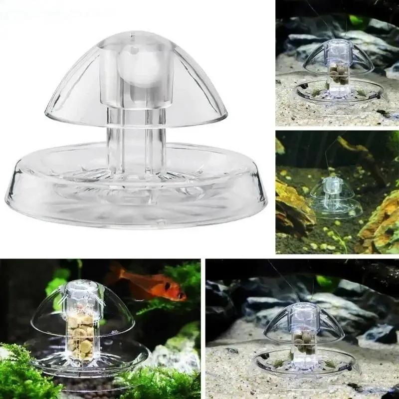 2026 New 6/8CM Clear Plastic S - đánh giá và giá Aquarium Fish Trap
