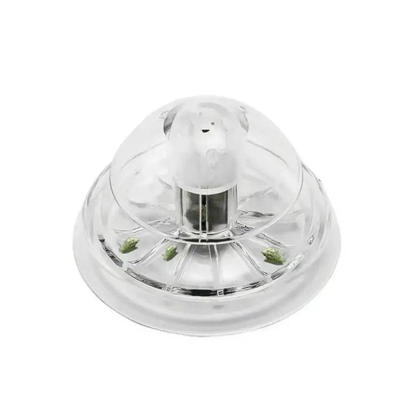 2026 New 6/8CM Clear Plastic S - đánh giá và giá Aquarium Fish Trap