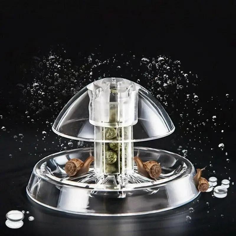 2026 New 6/8CM Clear Plastic S - đánh giá và giá Aquarium Fish Trap
