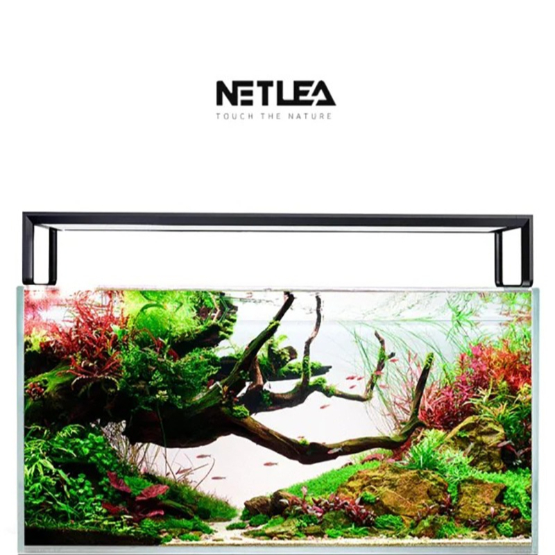 Netlea AT5S V3 Smart Wifi APP  - đánh giá và giá Aquarium Fish App