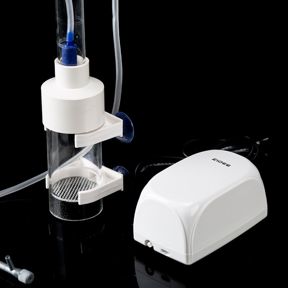 40mm Incubator Fish Hatchery E - đánh giá và giá Aquarium Fish Cichlid