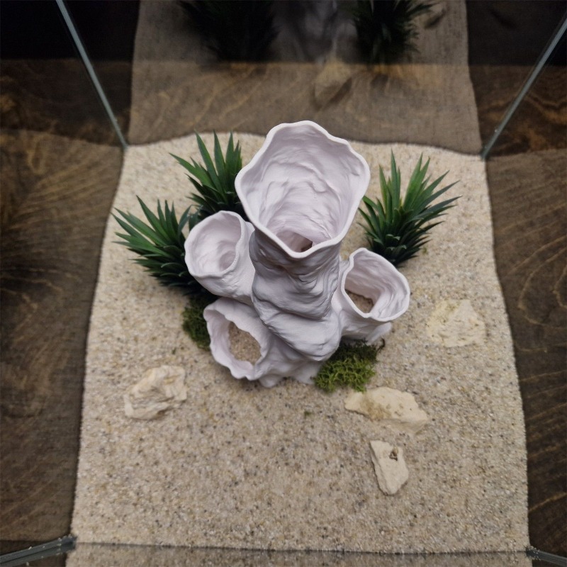Hot Sale 3D Printed Coral Tunn - đánh giá và giá Aquarium Fish For Sale