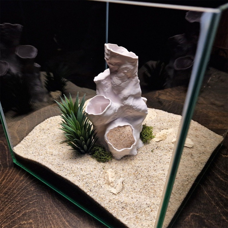 Hot Sale 3D Printed Coral Tunn - đánh giá và giá Aquarium Fish For Sale
