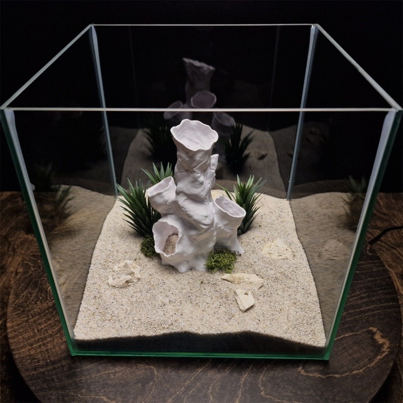 Hot Sale 3D Printed Coral Tunn - đánh giá và giá Aquarium Fish For Sale