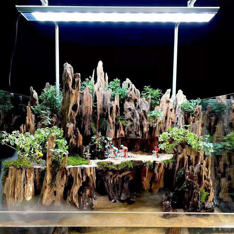 Shrimp Wood Aquarium Decor, Dr - đánh giá và giá Aquarium Fish Cichlid