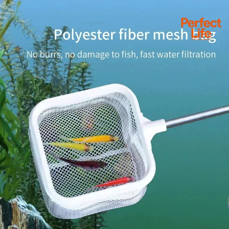 1、2Pcs Stainless Steel Fishing - đánh giá và giá Aquarium Fish Trap