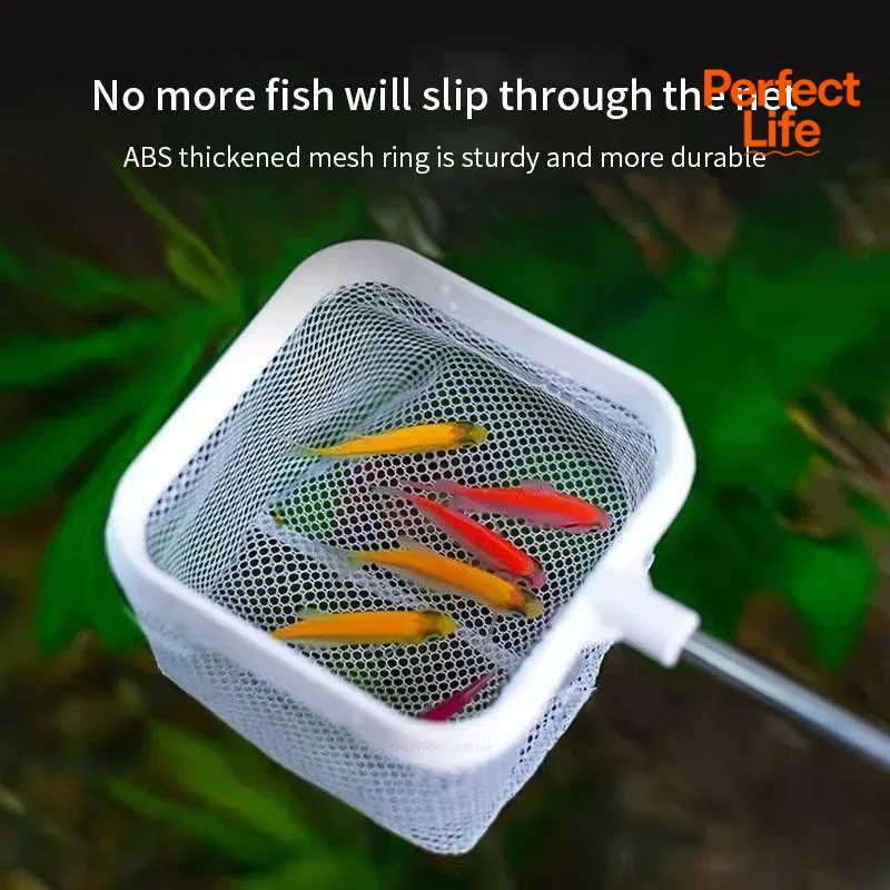 1、2Pcs Stainless Steel Fishing - đánh giá và giá Aquarium Fish Trap