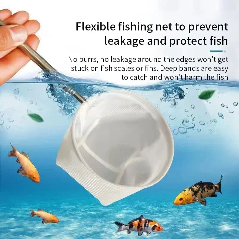 1、2Pcs Stainless Steel Fishing - đánh giá và giá Aquarium Fish Trap