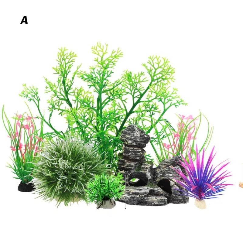 10pcs Hot Selling New Arrival  - đánh giá và giá Aquarium Fish For Sale