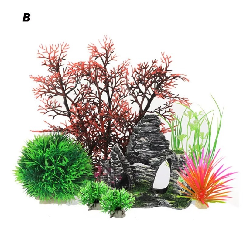 10pcs Hot Selling New Arrival  - đánh giá và giá Aquarium Fish For Sale