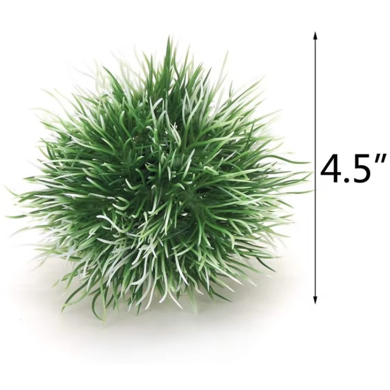 10pcs Hot Selling New Arrival  - đánh giá và giá Aquarium Fish For Sale