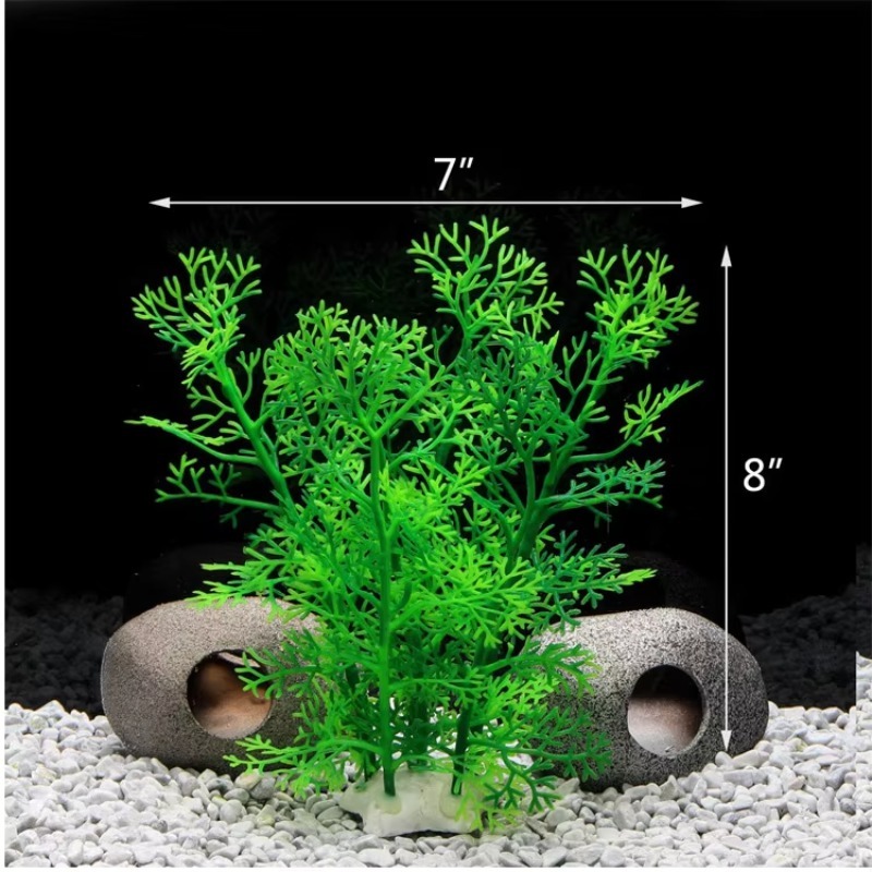 10pcs Hot Selling New Arrival  - đánh giá và giá Aquarium Fish For Sale