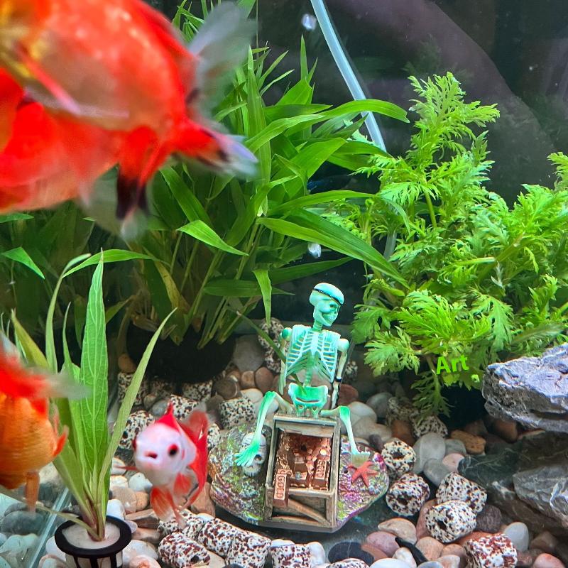 Fish Tank Aerobic Landscape Bu - đánh giá và giá Aquarium Fish Cichlid