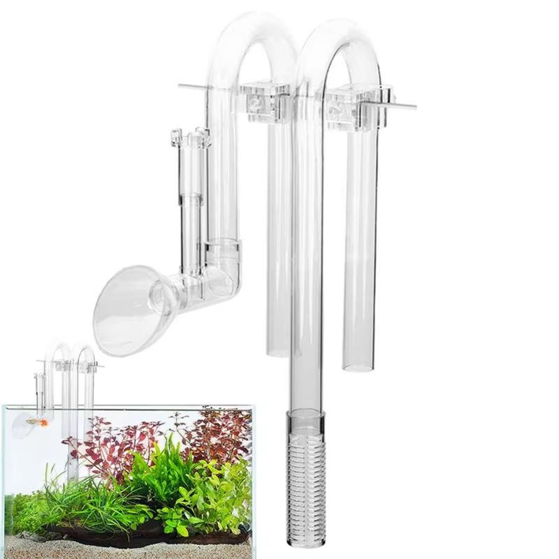 【Fast Delivery】Aquarium Inlet  - đánh giá và giá Aquarium Fish Delivery