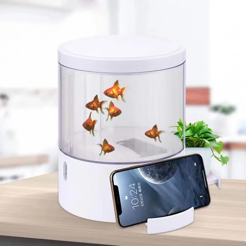 Vòng Đèn Nhiều Màu Sắc Để Bàn  - đánh giá và giá Aquarium Fish For Sale