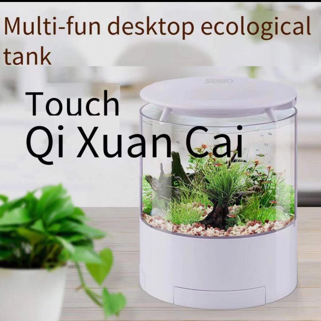 Vòng Đèn Nhiều Màu Sắc Để Bàn  - đánh giá và giá Aquarium Fish For Sale