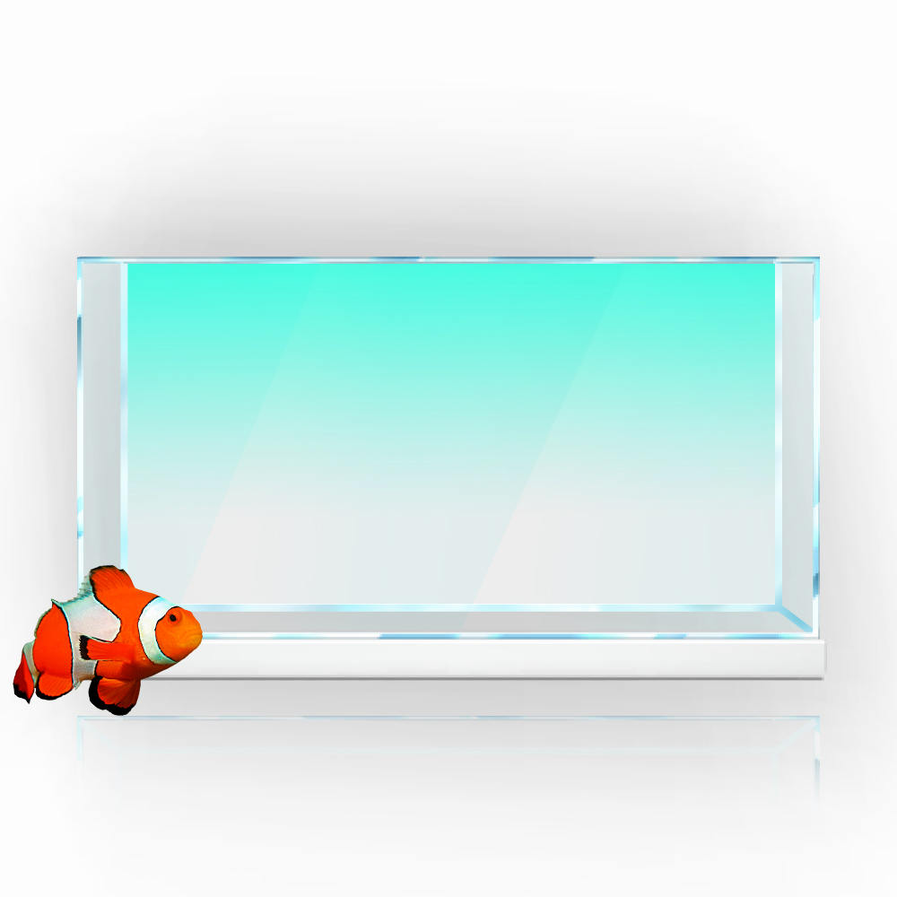 Cá Nền Miếng Dán Trắng Vàng Xa - đánh giá và giá Aquarium Fish Yellow