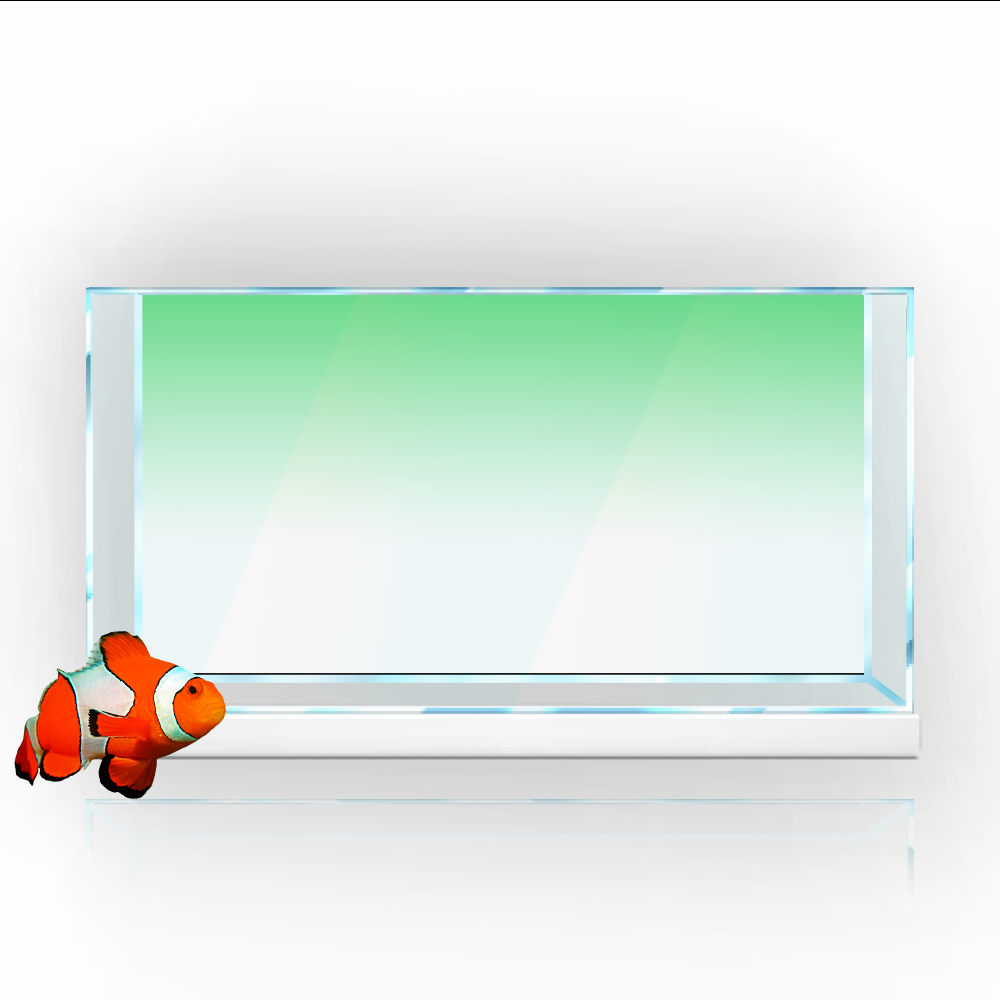 Cá Nền Miếng Dán Trắng Vàng Xa - đánh giá và giá Aquarium Fish Yellow