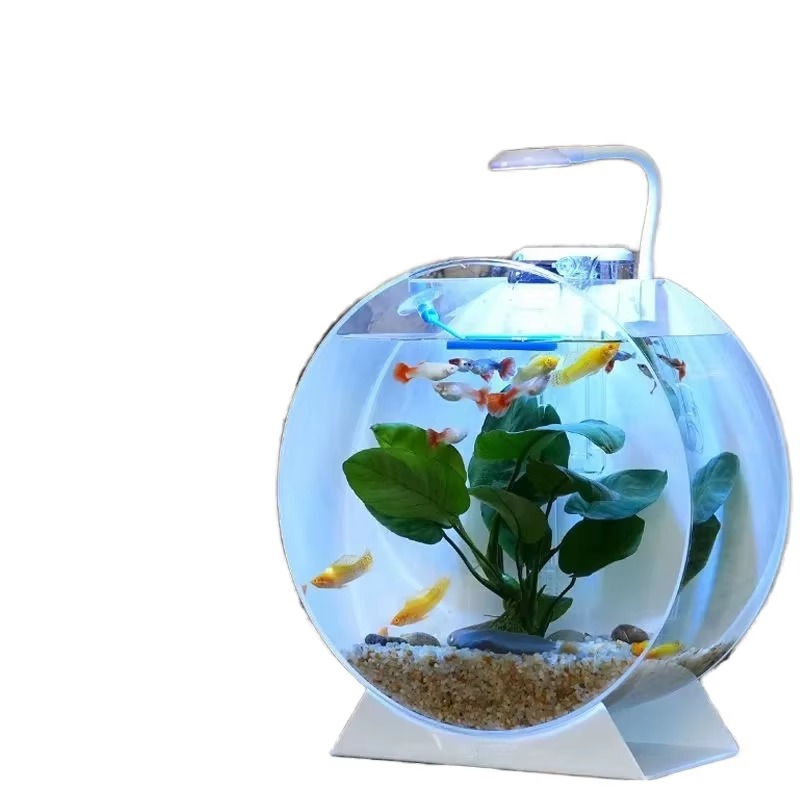Hot Sale Modern Eco-Friendly A - đánh giá và giá Aquarium Fish For Sale
