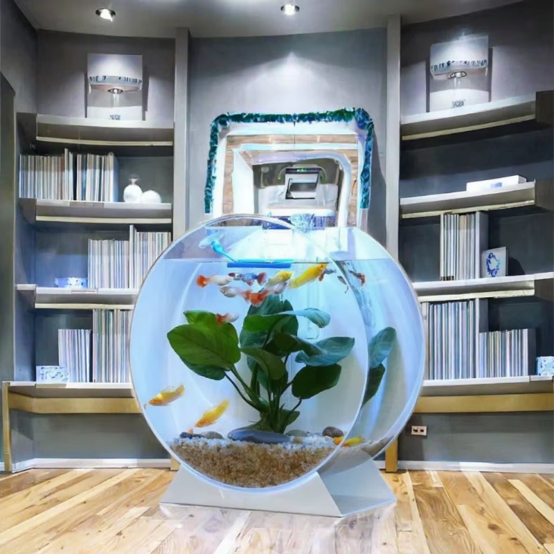 Hot Sale Modern Eco-Friendly A - đánh giá và giá Aquarium Fish For Sale
