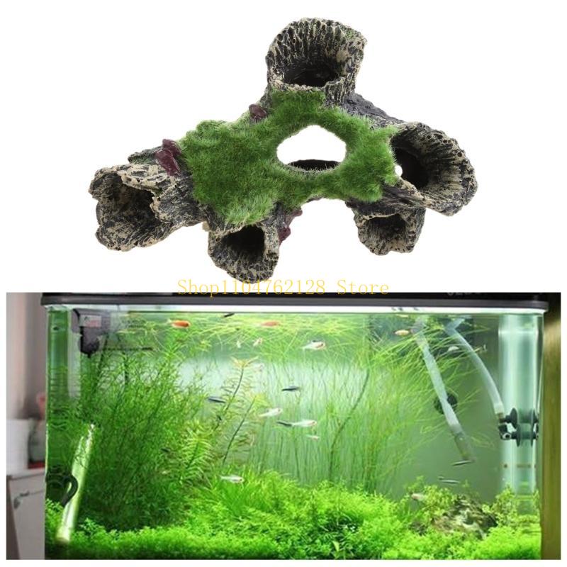 Cá Cho Trang Trí Bể Cá Nơi Ẩn  - đánh giá và giá Aquarium Fish For Sale