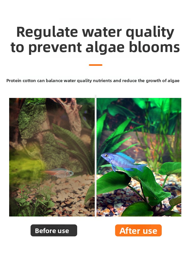 AC protein cotton aquarium fis - đánh giá và giá Aquarium Fish Yellow