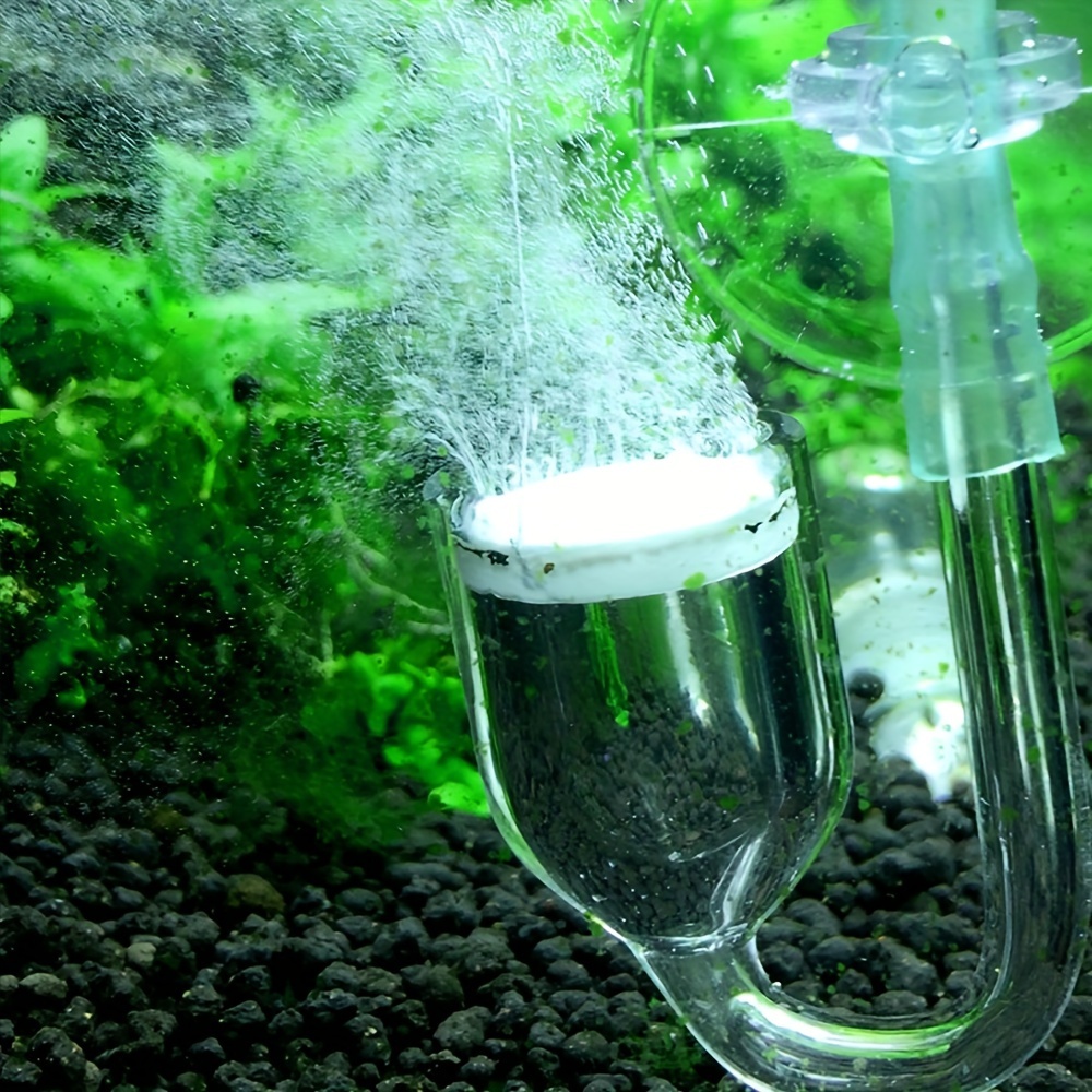 Aquarium Glass CO2 Atomizer Di - đánh giá và giá Aquarium Fish Quarantine