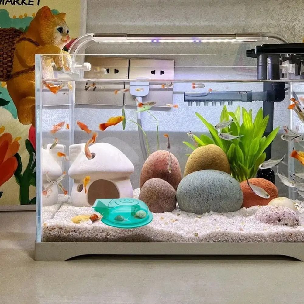 Freshwater Saltwater Aquarium  - đánh giá và giá Aquarium Fish Trap