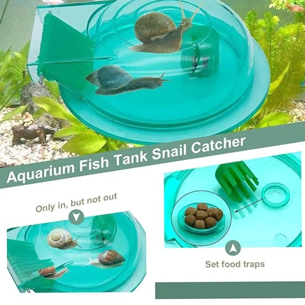 Freshwater Saltwater Aquarium  - đánh giá và giá Aquarium Fish Trap