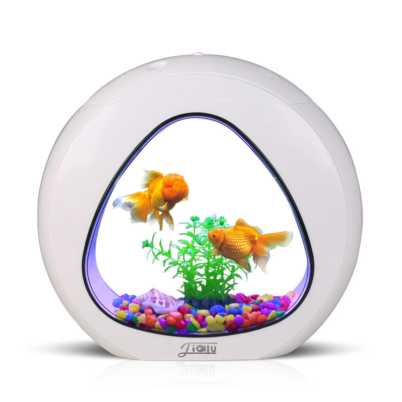Jialu creative desktop fish ta - đánh giá và giá Aquarium Fish Delivery