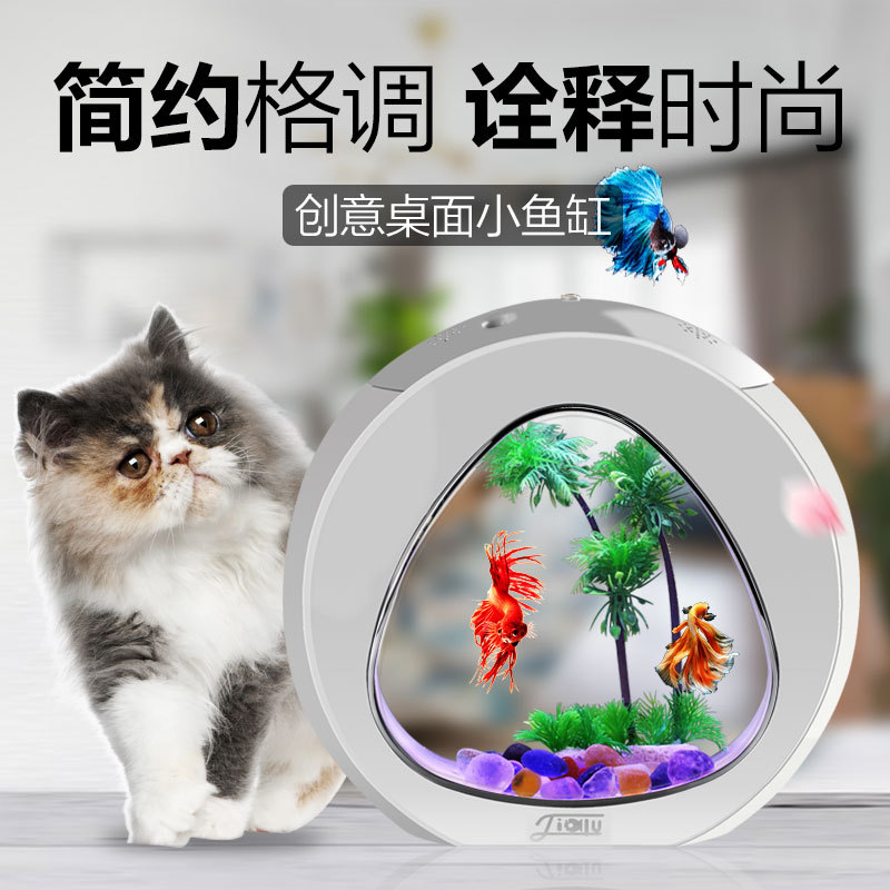 Jialu creative desktop fish ta - đánh giá và giá Aquarium Fish Delivery