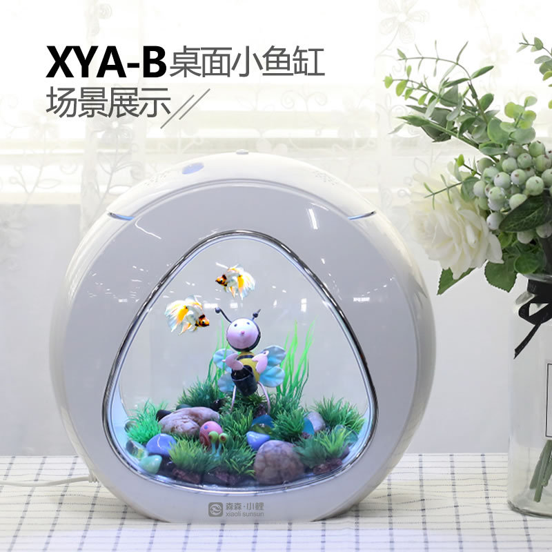 Jialu creative desktop fish ta - đánh giá và giá Aquarium Fish Delivery