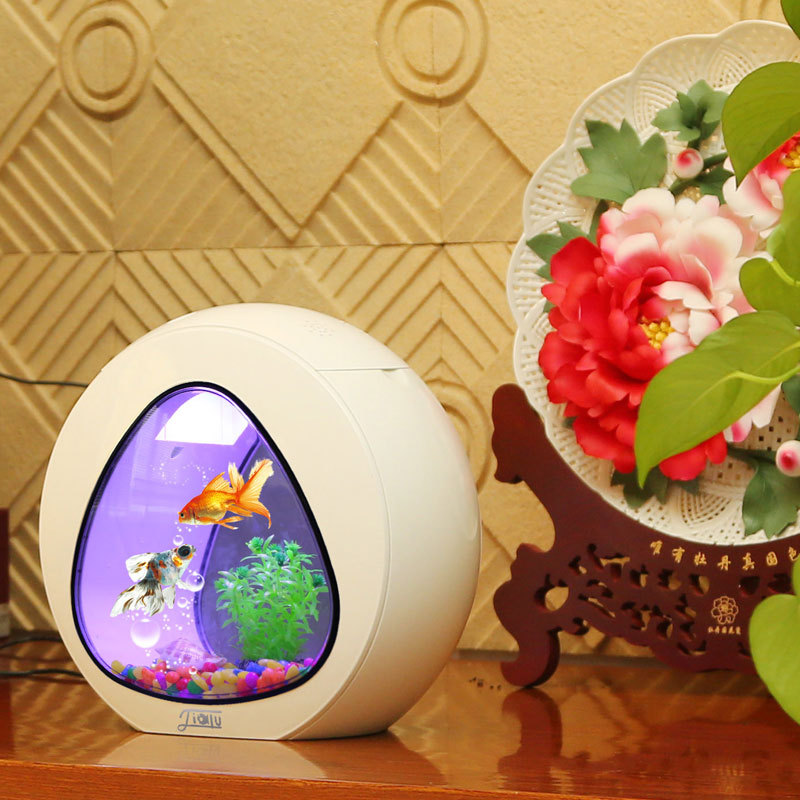 Jialu creative desktop fish ta - đánh giá và giá Aquarium Fish Delivery