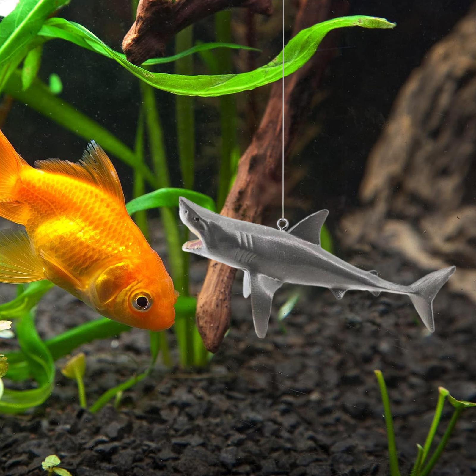 Floating Shark Aquarium Landsc - đánh giá và giá Aquarium Fish Shark
