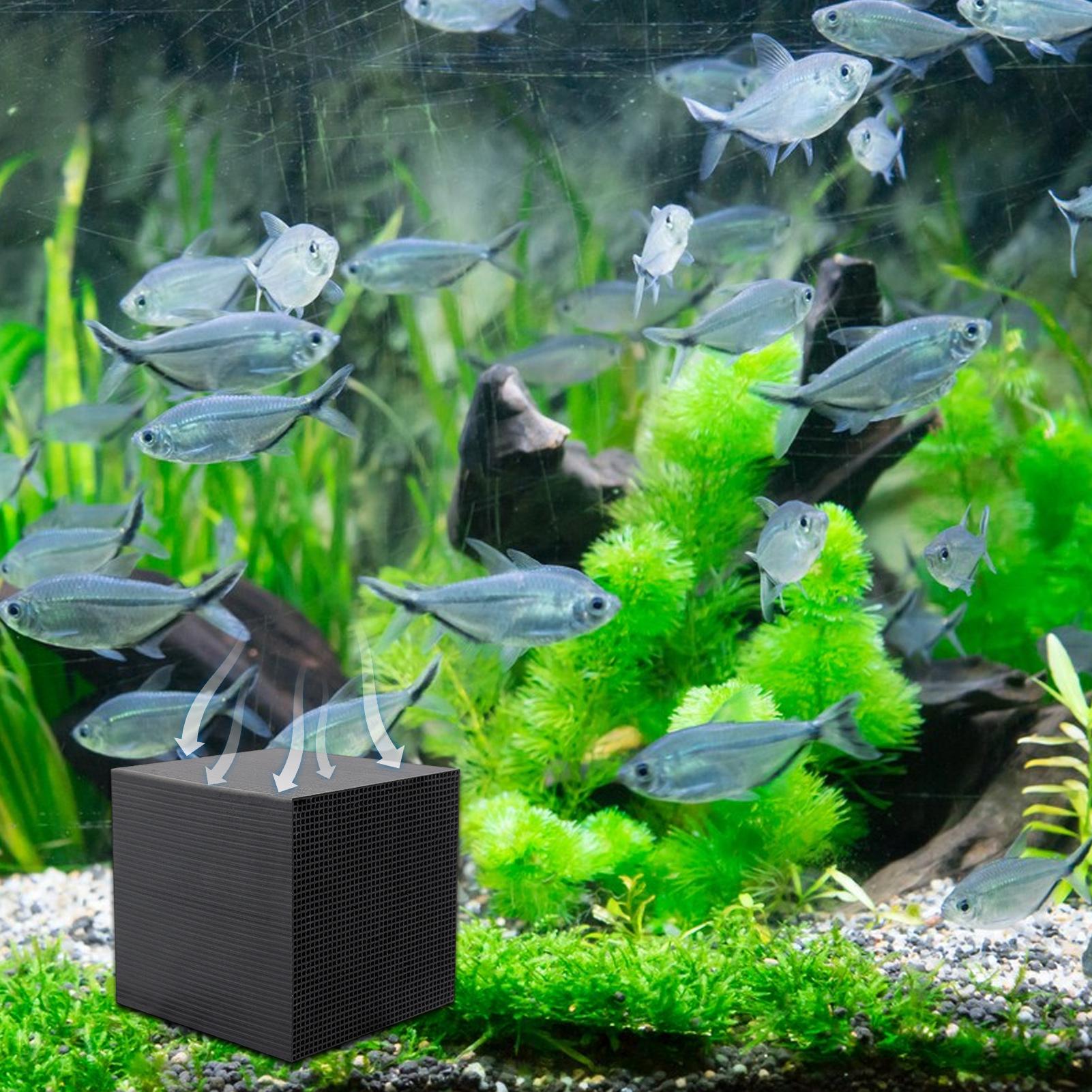 Aquarium Water Purifier Cube W - đánh giá và giá Aquarium Fish Lego