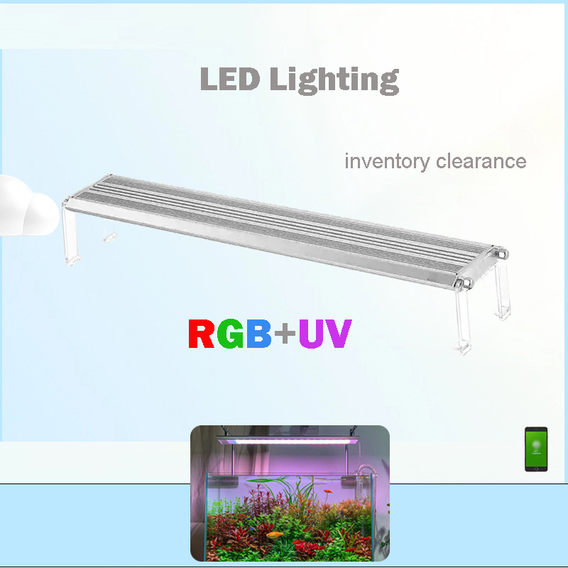 Led Lighting 60cm 80cm 90cm RG - đánh giá và giá Aquarium Fish For Sale
