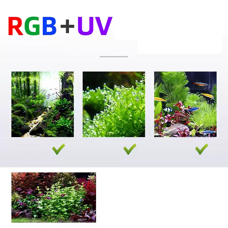 Led Lighting 60cm 80cm 90cm RG - đánh giá và giá Aquarium Fish For Sale