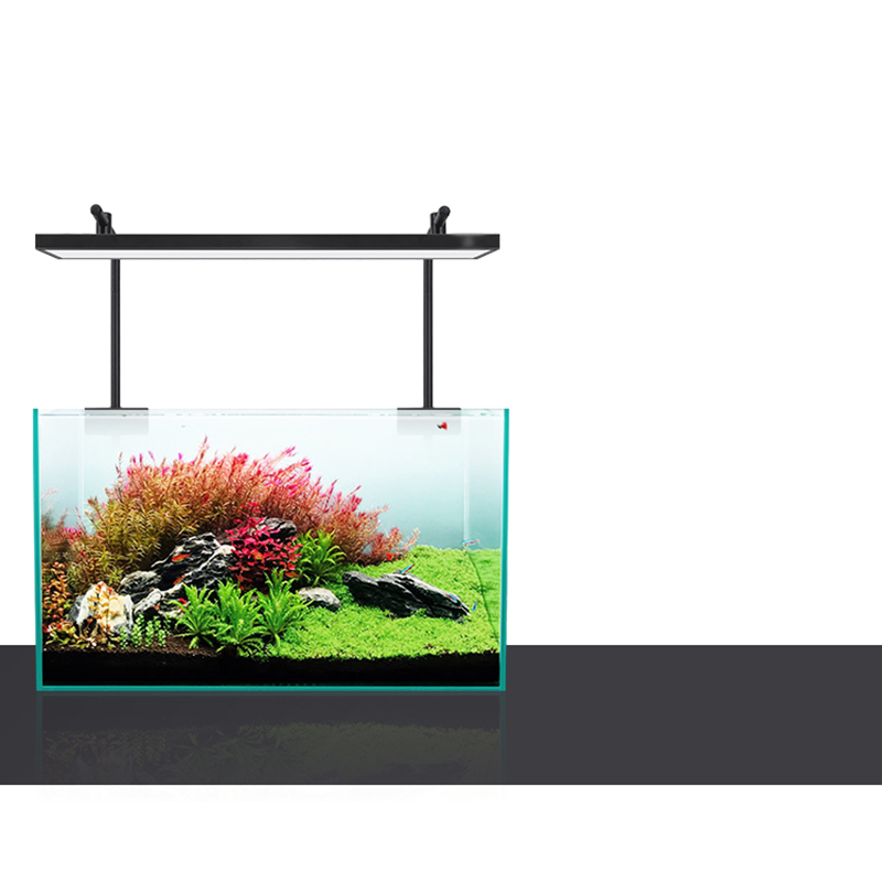 Led Lighting 60cm 80cm 90cm RG - đánh giá và giá Aquarium Fish For Sale