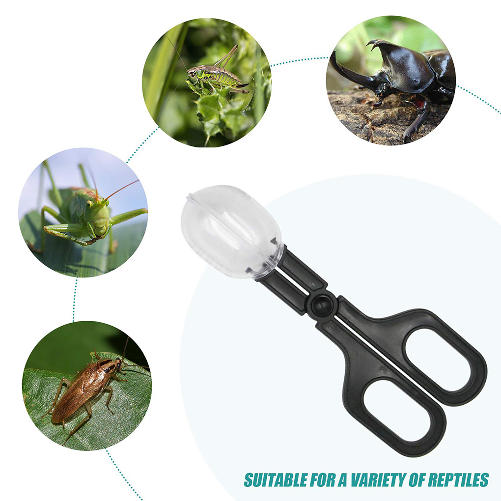 Di Động Trong Suốt Đuổi Côn Tr - đánh giá và giá Aquarium Fish Trap